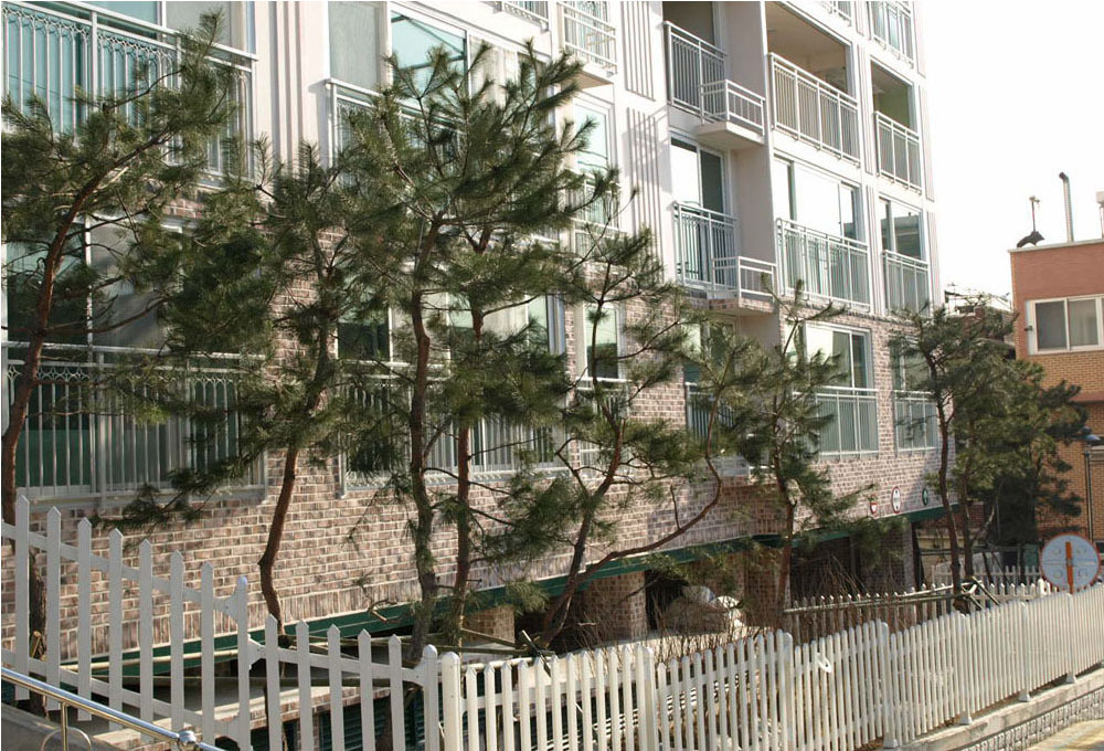 충주파벽돌(모)-1003