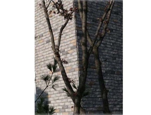 고파석- 1062