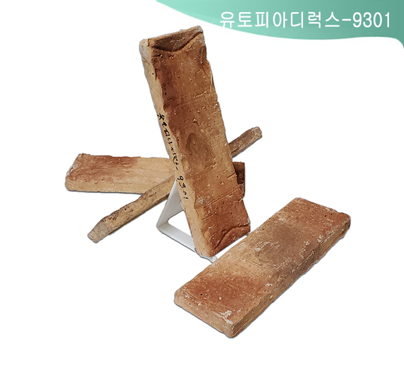 제품명
